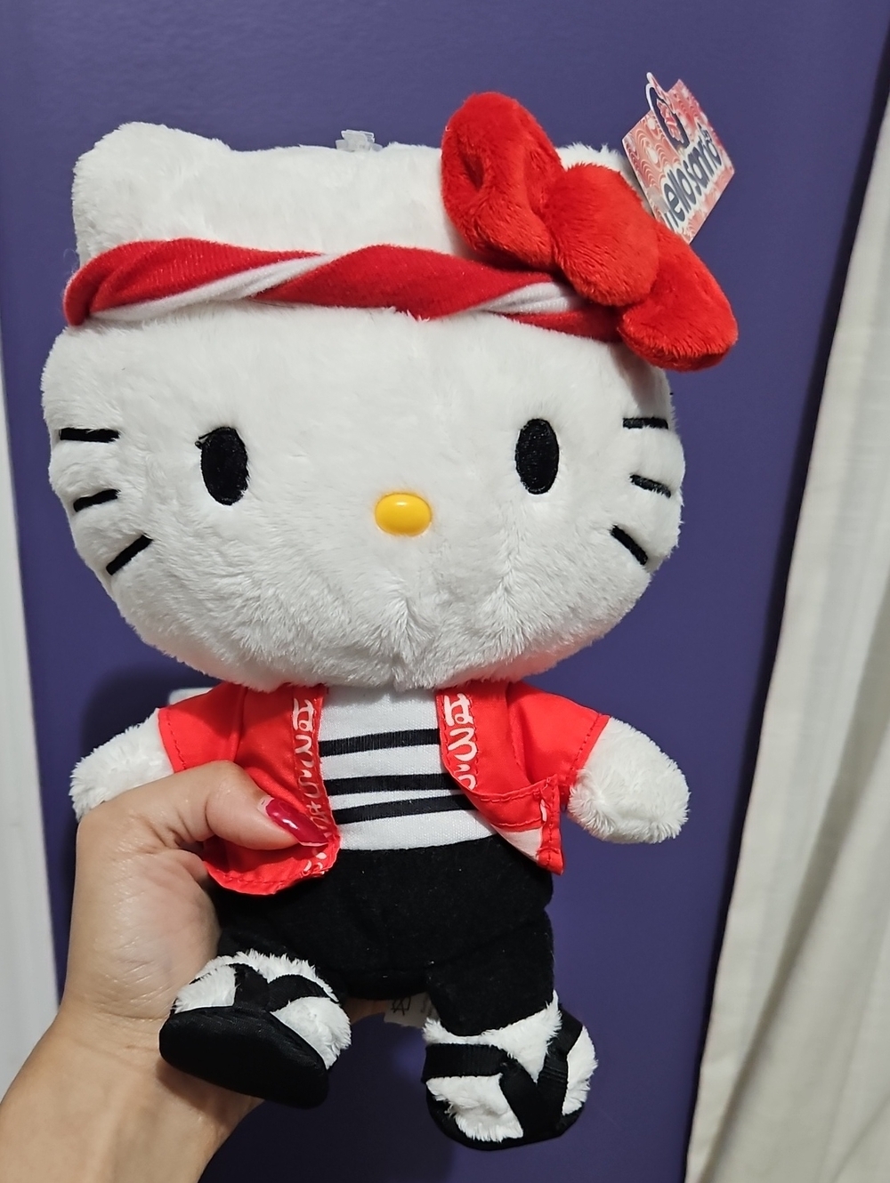 Sanrio Hello Kitty Plush with Red Headband & Jacket